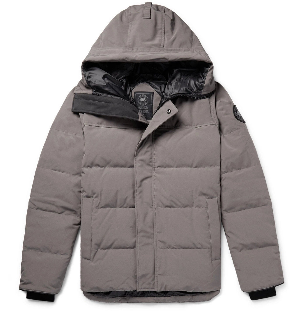 Canada Goose Grise