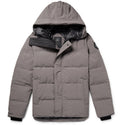 Canada Goose Grise